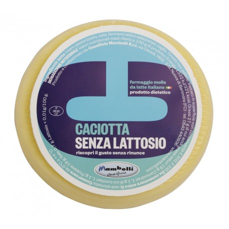 cheese without lactose cheese without lactose