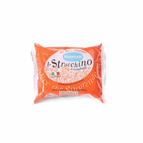 Stracchino al Sale - 100g